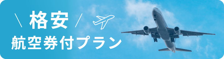 格安航空券付きプラン