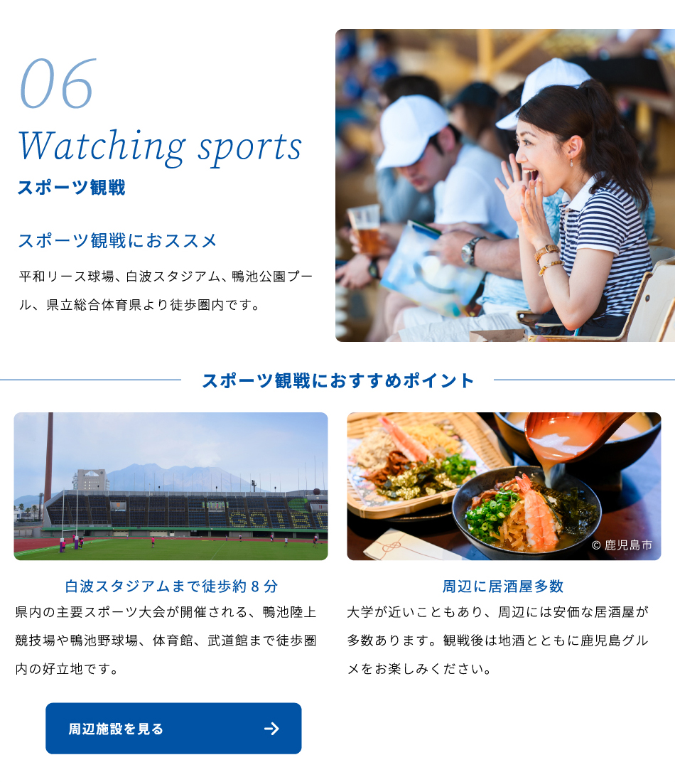 Watching sports スポーツ観戦